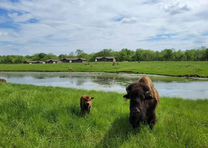 Wildlife Prairie Park Lodge